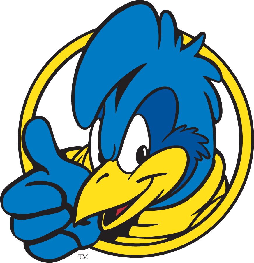 Delaware Blue Hens 1999-2009 Mascot Logo v10 DIY iron on transfer (heat transfer)